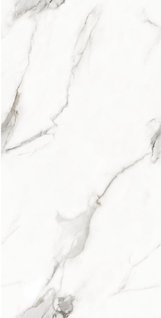 Портрет человека