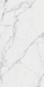 Портрет человека